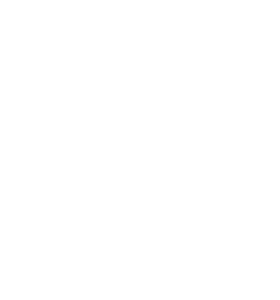 Dolphin Club logo
